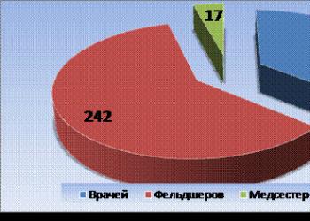 Отчет о работе фельдшера Андреевского ФАПа- Зариповой С